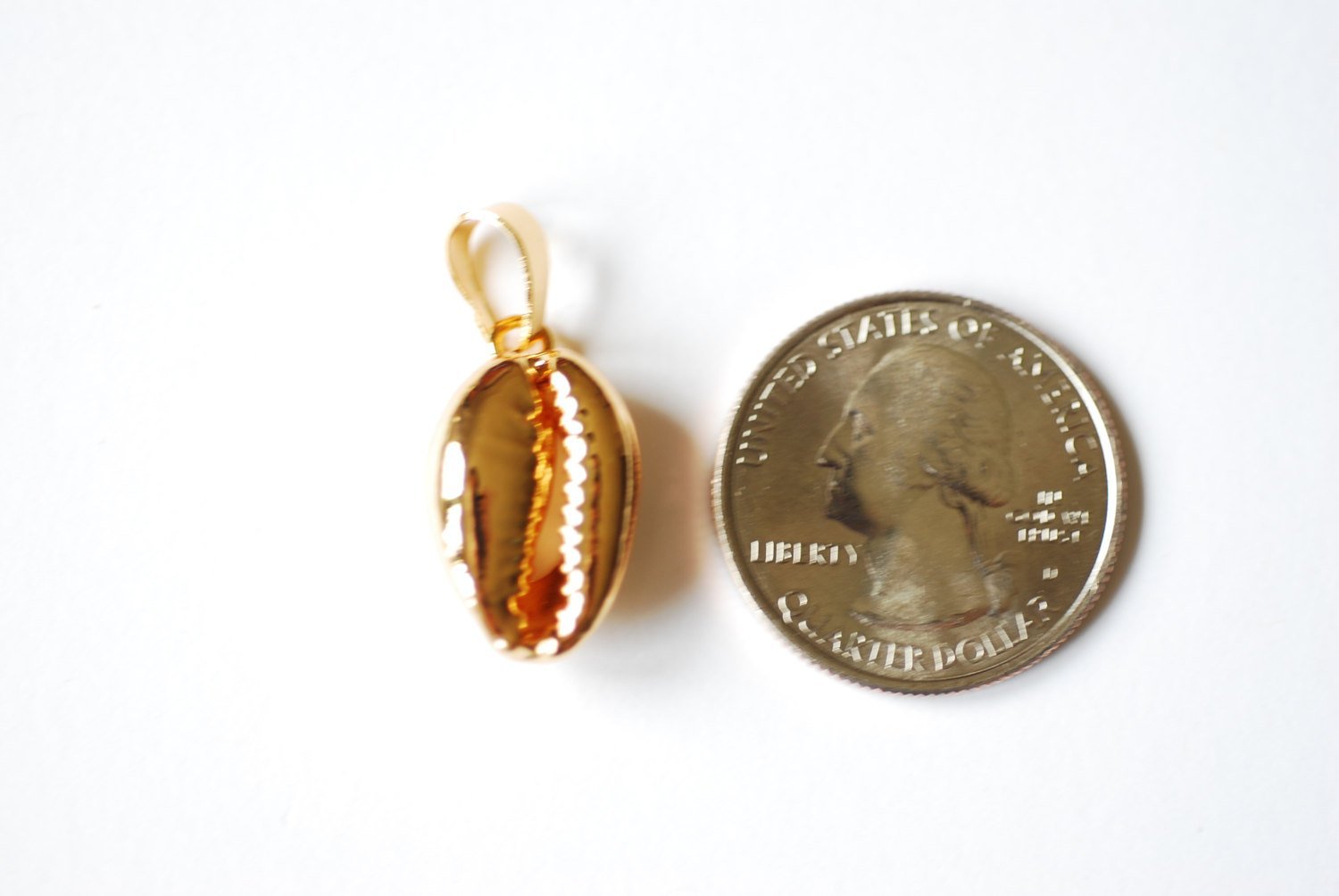 24k Gold Dipped Real Natural Cowrie Shell, Natural gold dipped shell pendant, Gold Cowrie shell pendant charm, Cut Cowrie Shell Beads - HarperCrown