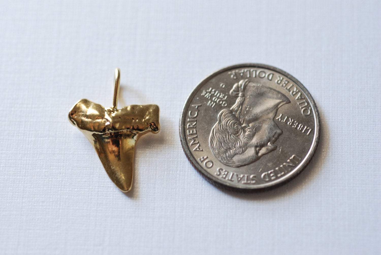 Vermeil Glossy Gold Shark Tooth Pendant, Vermeil gold shark tooth charm,18kt gold plated over sterling silver, vermeil supplies - HarperCrown